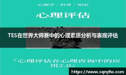 TES在世界大师赛中的心理素质分析与表现评估