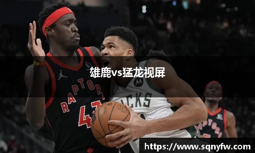 雄鹿vs猛龙视屏