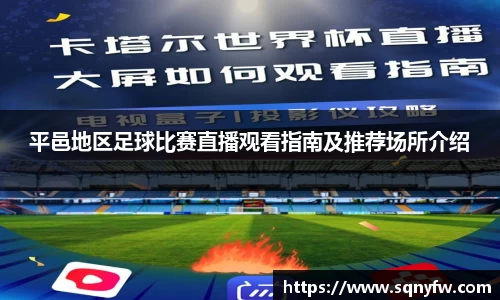 平邑地区足球比赛直播观看指南及推荐场所介绍