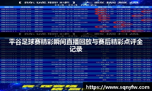 平谷足球赛精彩瞬间直播回放与赛后精彩点评全记录